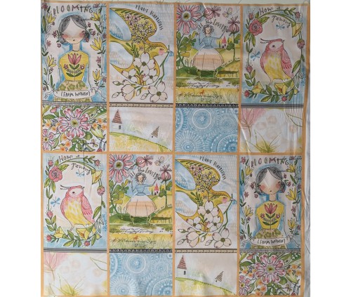 Ocells i Fades de la Natura