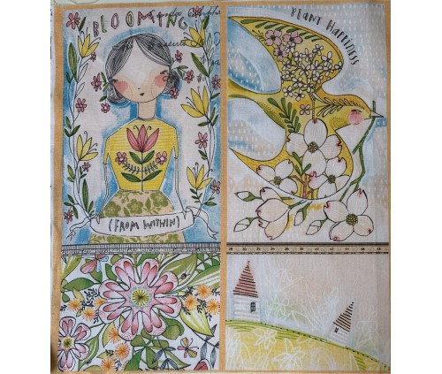 Ocells i Fades de la Natura