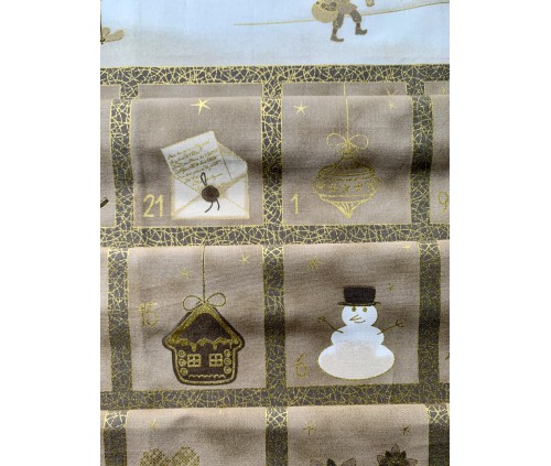 Advent. Paisatge nevat (monocromàtic)