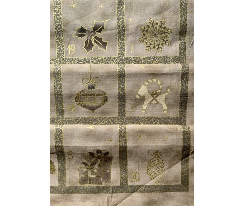 Advent. Paisatge nevat (monocromàtic)