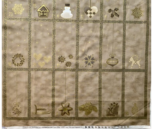 Advent. Paisatge nevat (monocromàtic)