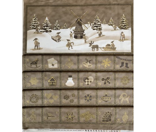 Advent. Paisatge nevat (monocromàtic)